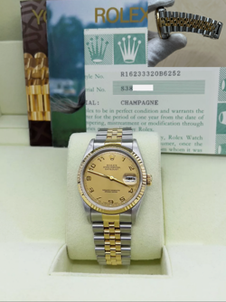 16233 CHAMPAGNE ARABIC