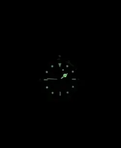 14060 TRITIUM DIAL