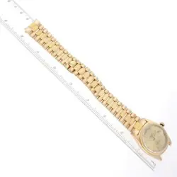 ROLEX PRESIDENT DAY-DATE YELLOW GOLD BARK FINISH MENS WATCH 18078