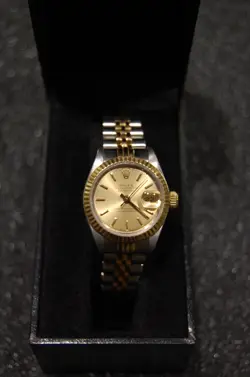69173 18KT/SS