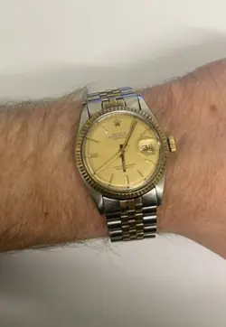 36 GOLD MEN'S