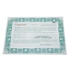 Rolex Oyster Perpetual 76080 Ladies #W3271