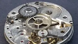 MVT