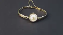 GOLD CASE 17J