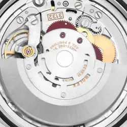 WATCH 50509