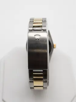 SS 31MM