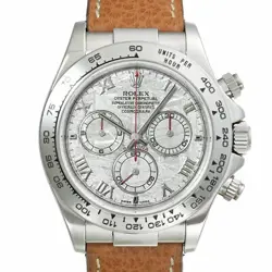DAYTONA METEORITE 116519