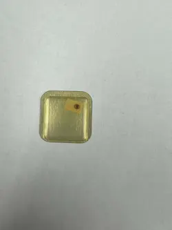 New Original Rolex 1530 7936 Combined In-Setting For Escape Wheel Swiss Made