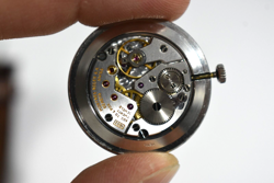 WHITE GOLD 32MM