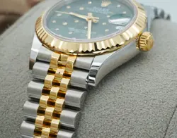 31 278273 OLIVE