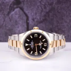 Rolex Mens Explorer 36mm 18K Gold/Steel Watch Oyster Smooth Black Dial 124273