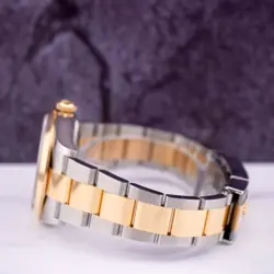 Rolex Mens Explorer 36mm 18K Gold/Steel Watch Oyster Smooth Black Dial 124273