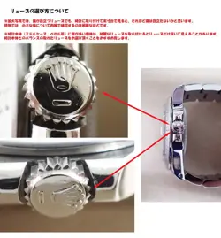 PATENT CROWN