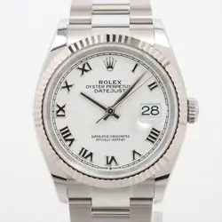 ROLEX DATEJUST 126234 SS×WG AT WHITE DIAL 2 EXTRA LINKS