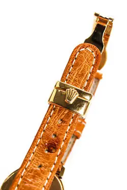 OSTRICH BAND CELLINI