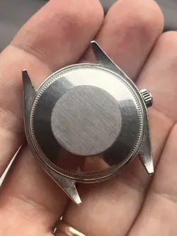 5500 RARE ARABIC