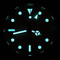 POLAR 42