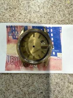 GOLD SHELL CASE