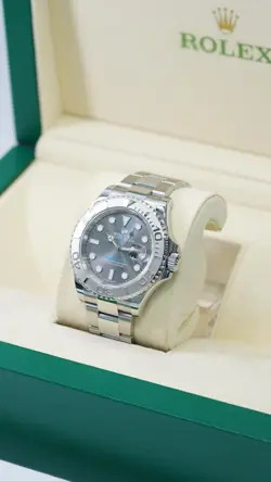 WITH GRAY BEZEL