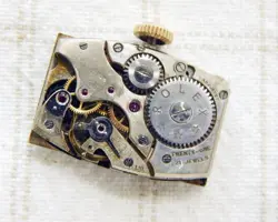 CURVED CASE