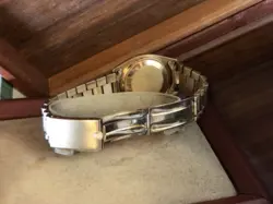 GOLD 36MM BARK