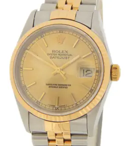 BAND CHAMPAGNE 16233