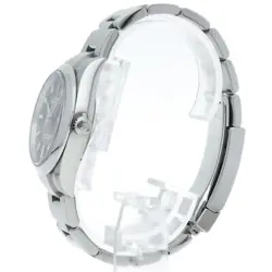 PERPETUAL 34 WATCH