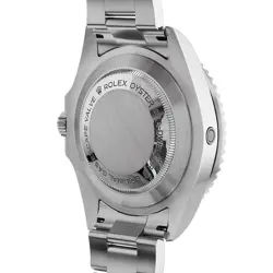 SEA-DWELLER NO CROWN
