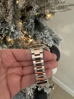 116681 STEEL EVEROSE
