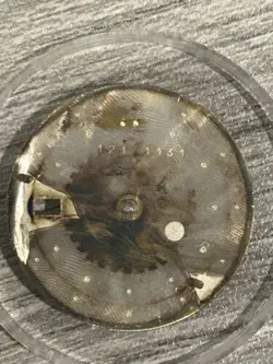 CHAMPAGNE DIAL 36MM!