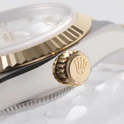 79173NG WHITE SHELL