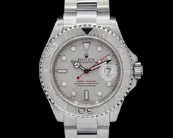 PLATINUM BEZEL C.