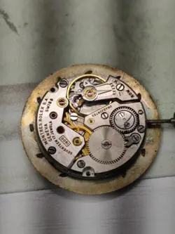 CELLINI 1600