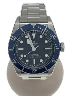 ANALOG 79230