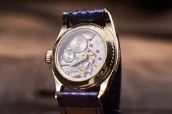 CASE WHITE GOLD