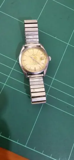 7966 TROPICAL DIAL