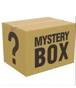MYSTERY WATCH