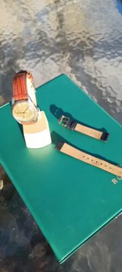BEZEL TROPICAL DIAL