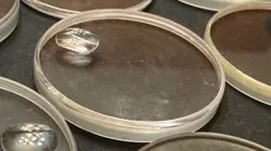 CRYSTAL.