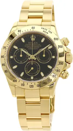 116528 GOLD OYSTER