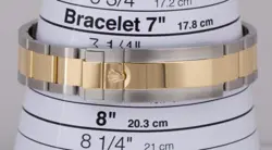 GOLD 116613