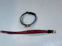 CHAMELEON 18K
