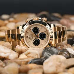 CHAMPAGNE DIAL-126508