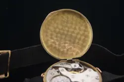 SOLID GOLD COCKTAIL