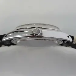 PRECISION 1960S