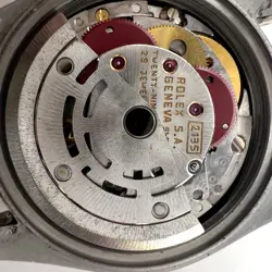 69173 WRIST