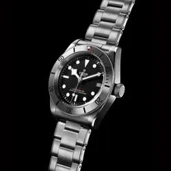HERITAGE STEEL 41MM