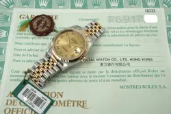 16233 STEEL 18K