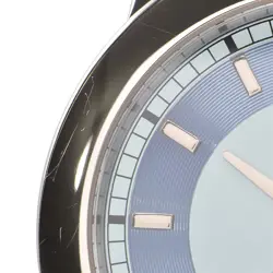 PT950 WATCH