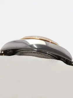 69173G GOLD CASE: